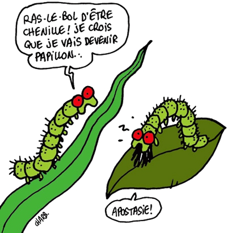 Charb-Heretique.jpg